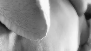 c276630 Live Webcam