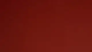 larinha Live Webcam
