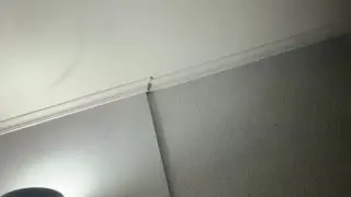 perlada Live Webcam