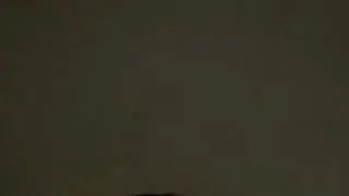 tinamoretti Live Webcam